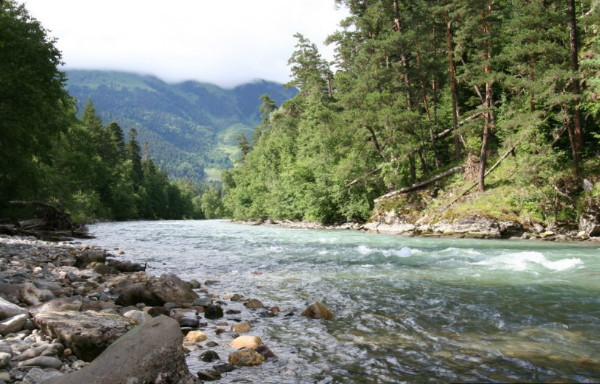 Image - The Velykyi Zelenchuk River