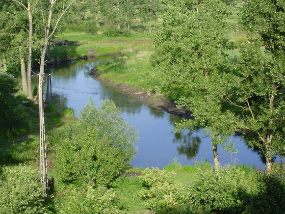 Image - The Vepr (Wieprz) River near Krasnystaw.