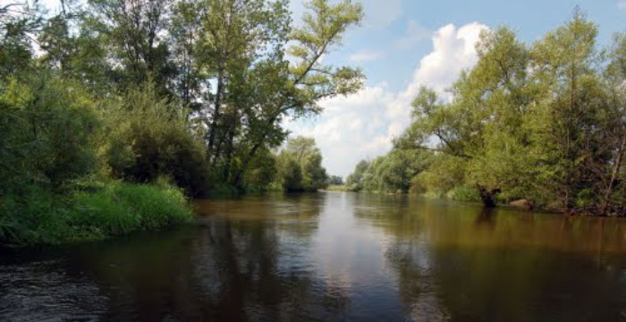 Image - The Vepr (Wieprz) River near Lubartow.