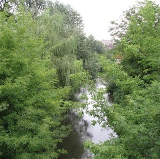 Image - The Vereshchytsia River in Horodok (Lviv region).