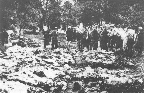 Image - Relatives identify exhumed victims of the Vinnytsia massacre.
