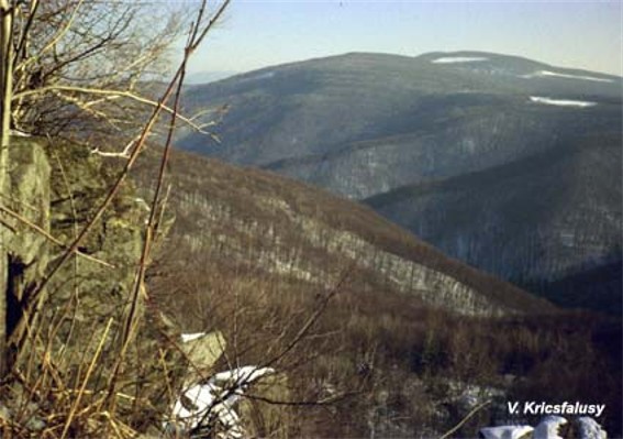 Image -- The Makovytsia Massif in the Volcanic Ukrainian Carpathians.