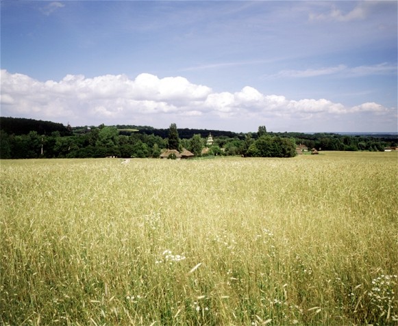 Image -- A Volhynia oblast landscape.