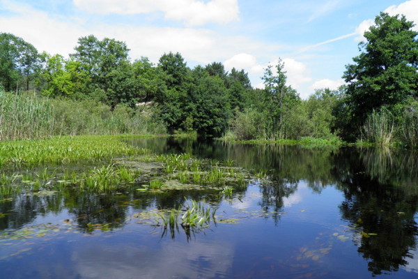 Image - Volhynian Polisia landscape.