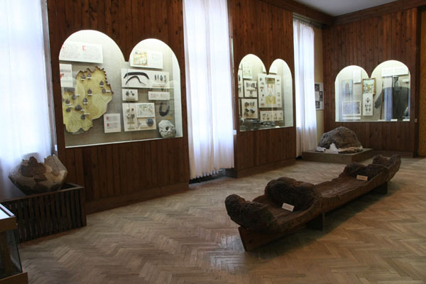 Image -- The Volhynian Regional Studies Museum (exhibit)