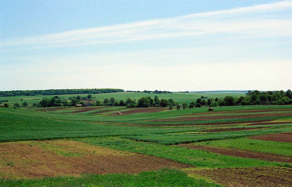 Image - Volhynian landscape.
