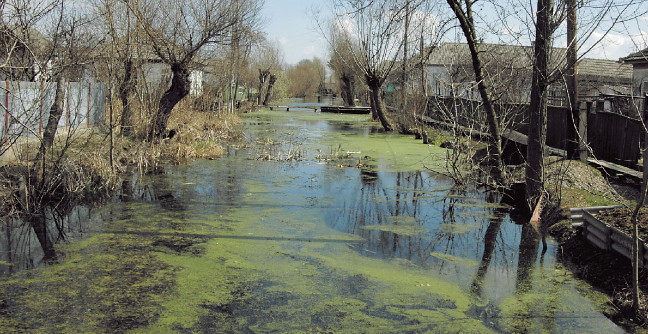 Image -- A canal in Vylkove.