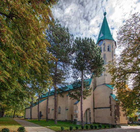 Image -- Vynohradiv: The Elevation of the Cross Church (16th century).