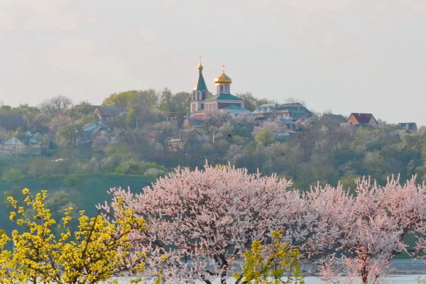 Image -- A panorama of Vyshhorod, Kyiv oblast.
