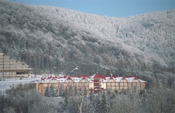 Image - Sanatoriums in Vysowa (Wysowa).