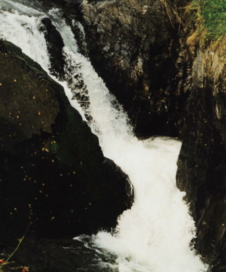 Image -- A waterfall on the Smuhariv Creek in the Vyzhnytsia National Nature Park.