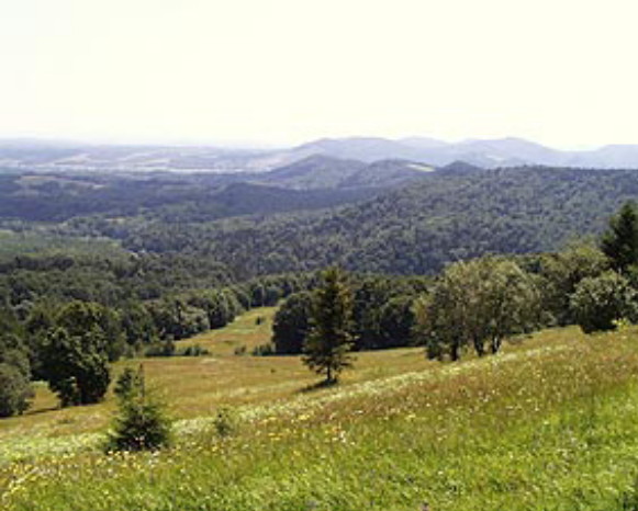 Image -- The Vyzhnytsia National Nature Park.