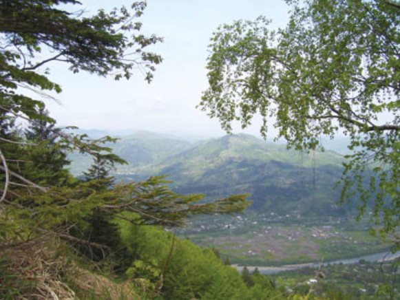 Image -- The Vyzhnytsia National Nature Park.