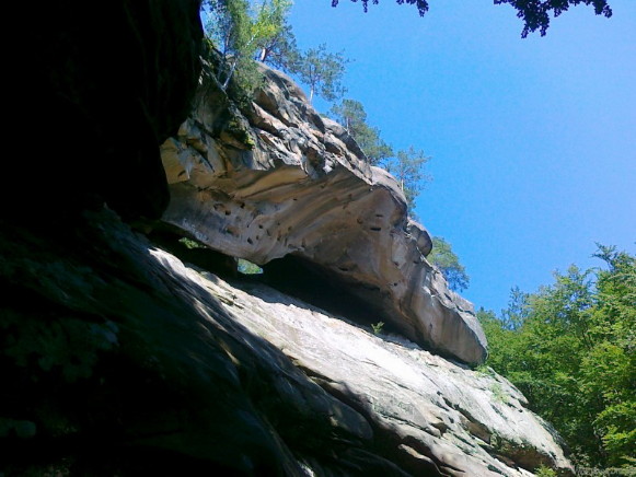 Image -- The Vyzhnytsia National Nature Park.