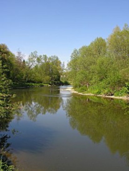 Image -- The Wislok River.