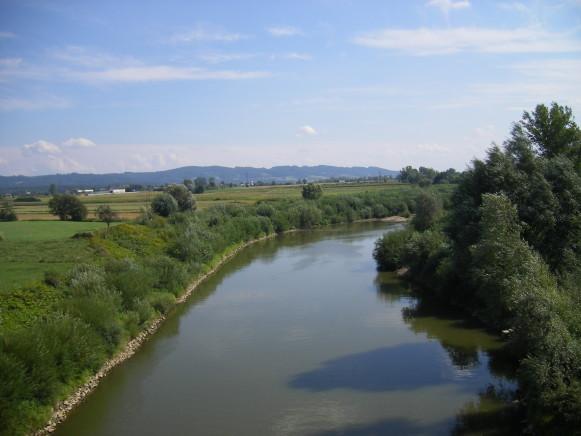 Image -- The Wisloka River (middle course).
