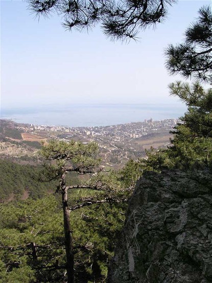 Image -- Yalta in the Crimea (view from the mountains).