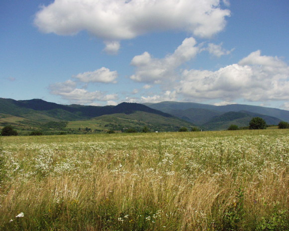 Image - A landscape of the Zacharovanyi Krai National Nature Park.