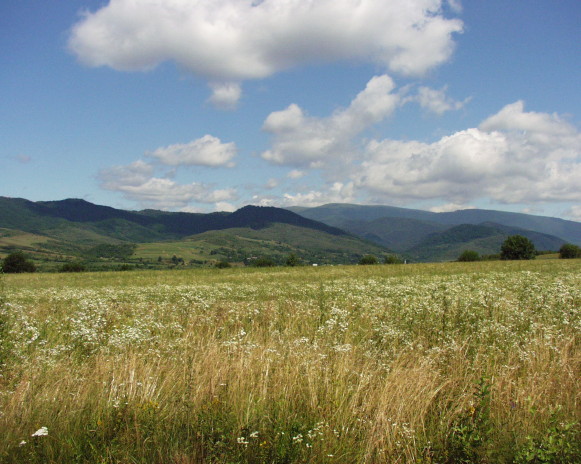 Image -- A landscape of the Zacharovanyi Krai National Nature Park.