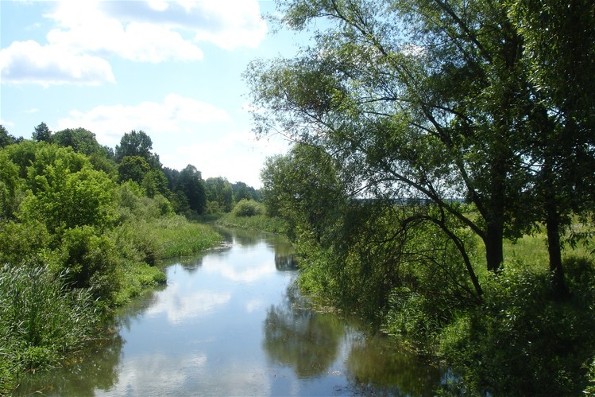 Image - The Zdvyzh River