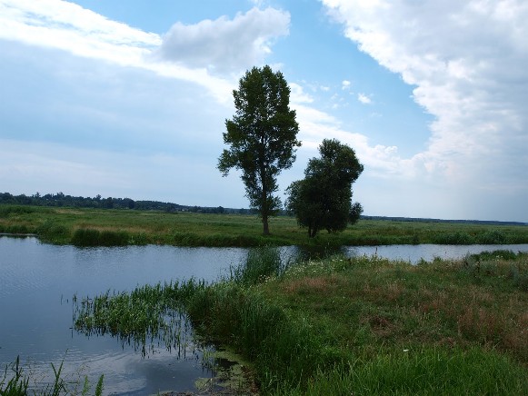 Image - The Zdvyzh River