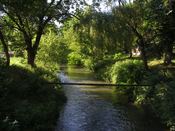 Image -- The Zolota Lypa River in Berezhany, Ternopil oblast.